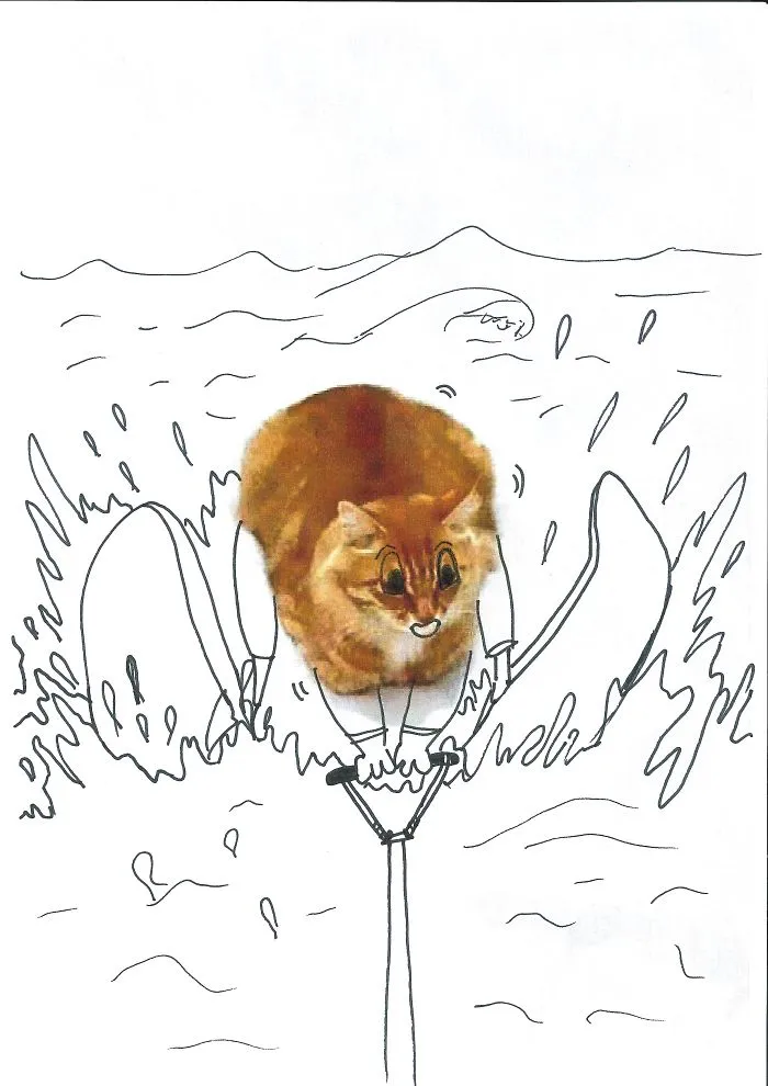 Chat Ski Nautique
