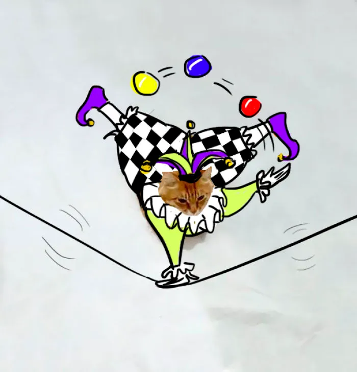 A Day At The Circus