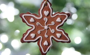 Cute Polymer Clay Jewelry I Made For Christmas!