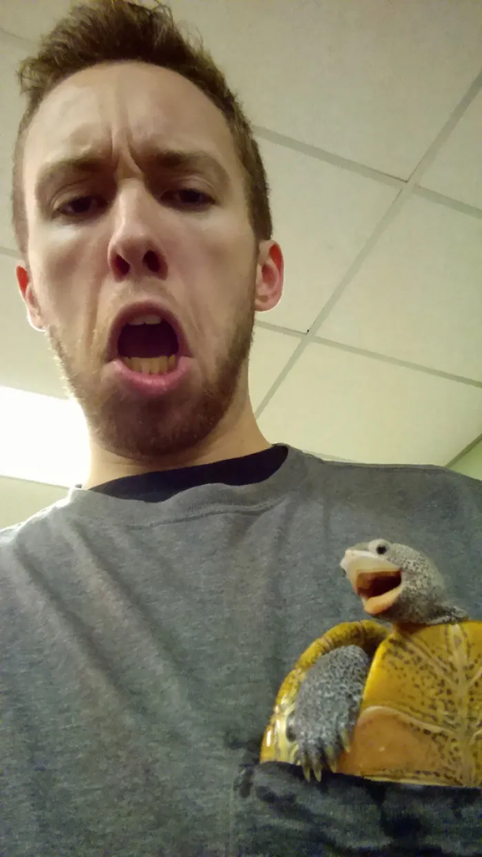 Here's My Pocket Turtle