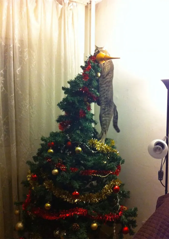This Cat Helped With the Christmas Decorations