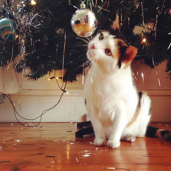 Cat playing with a shiny ornament on a Christmas tree, surrounded by festive tinsel.