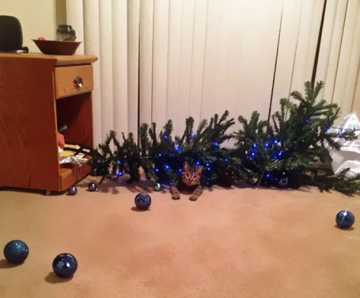It Hasn't Even Been Up for 3 Minutes