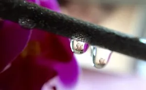 Drops Of Memories: I Capture Memories In Water Droplets