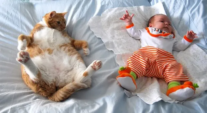 129 Heartwarming Photos Proving That Your Kids Need A Pet