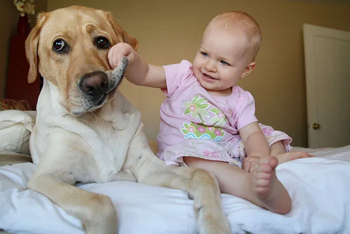 129 Heartwarming Photos Proving That Your Kids Need A Pet