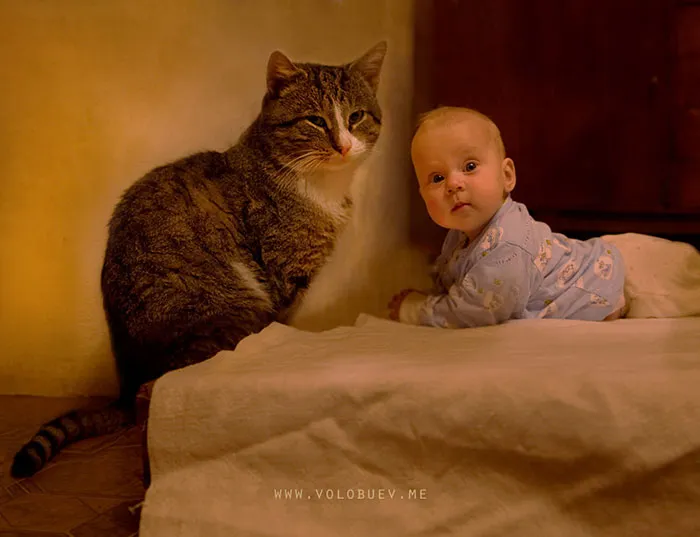 129 Heartwarming Photos Proving That Your Kids Need A Pet