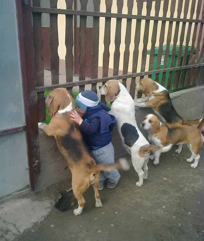 129 Heartwarming Photos Proving That Your Kids Need A Pet