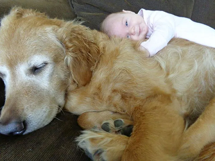 129 Heartwarming Photos Proving That Your Kids Need A Pet
