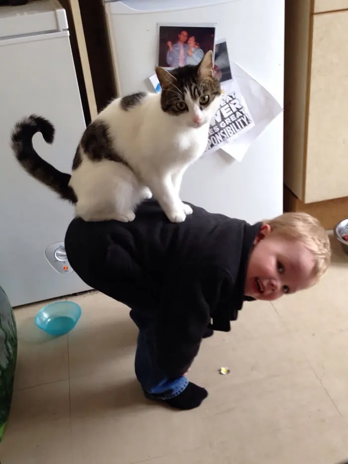 129 Heartwarming Photos Proving That Your Kids Need A Pet