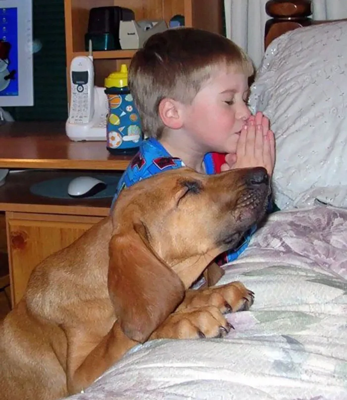 129 Heartwarming Photos Proving That Your Kids Need A Pet
