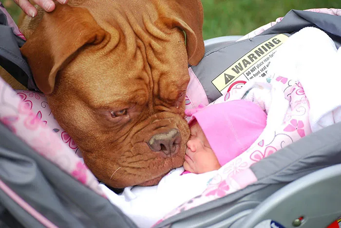 129 Heartwarming Photos Proving That Your Kids Need A Pet