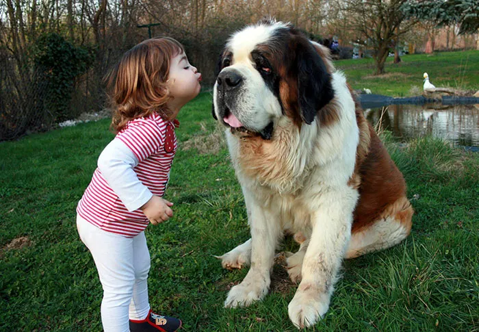 129 Heartwarming Photos Proving That Your Kids Need A Pet