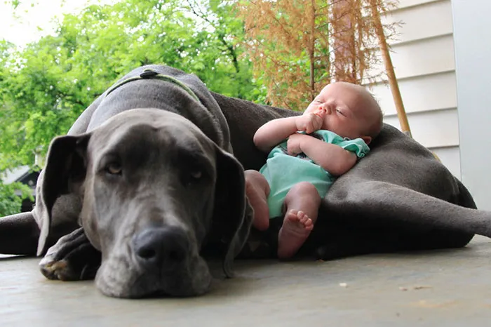 129 Heartwarming Photos Proving That Your Kids Need A Pet