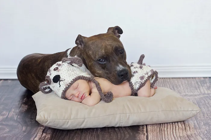129 Heartwarming Photos Proving That Your Kids Need A Pet