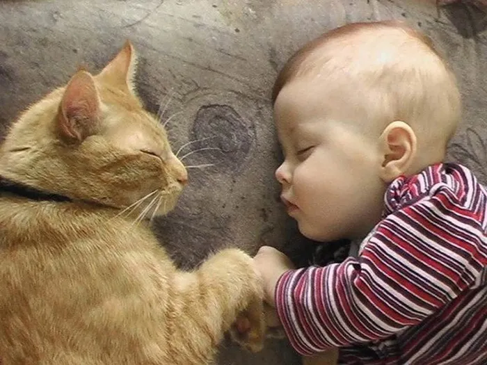 129 Heartwarming Photos Proving That Your Kids Need A Pet