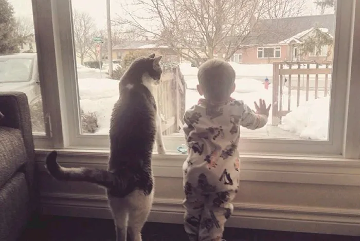 129 Heartwarming Photos Proving That Your Kids Need A Pet
