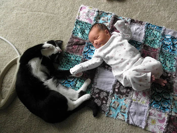 129 Heartwarming Photos Proving That Your Kids Need A Pet
