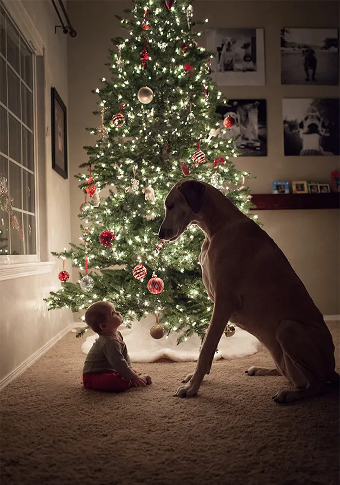 129 Heartwarming Photos Proving That Your Kids Need A Pet