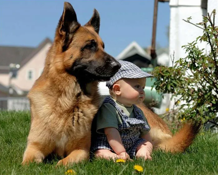 129 Heartwarming Photos Proving That Your Kids Need A Pet