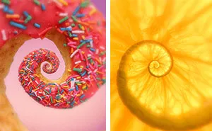 Hypnotizing GIFs Of Everyday Objects By Polish Artist