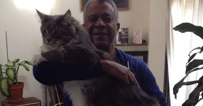 My 26-Pound Main Coon Owns My Heart