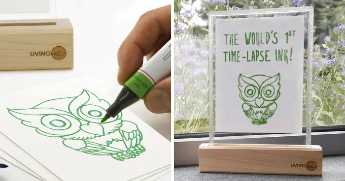 We Used Living Algae Cells To Create This Pen That Makes Your Stories Grow Over Time