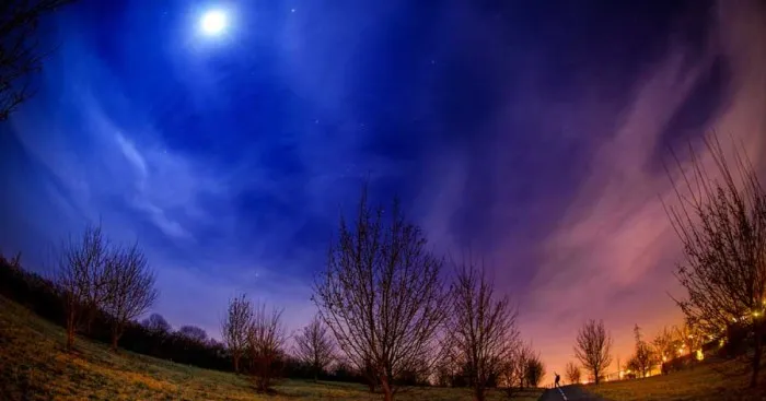 I Like To Wander At Night Because It Doesn't Remind Me Of Anything