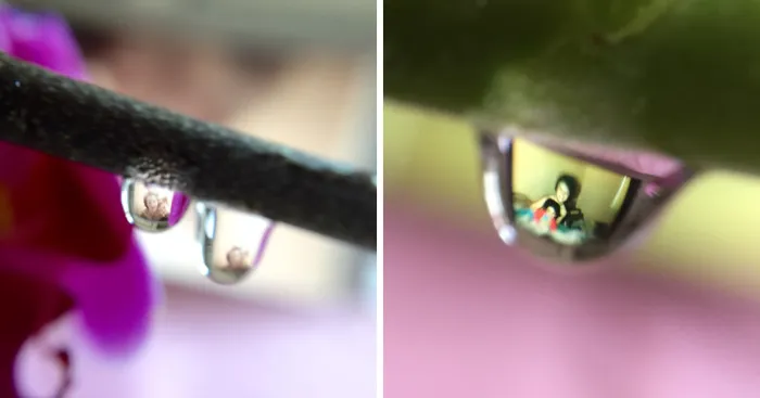 Drops Of Memories: I Capture Memories In Water Droplets