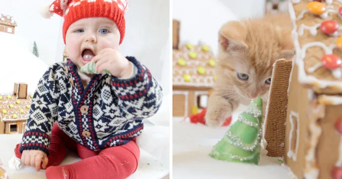 Watch Babies, Dogs, And Kittens Wreck A Gingerbread Village In The Cutest Demolition Ever