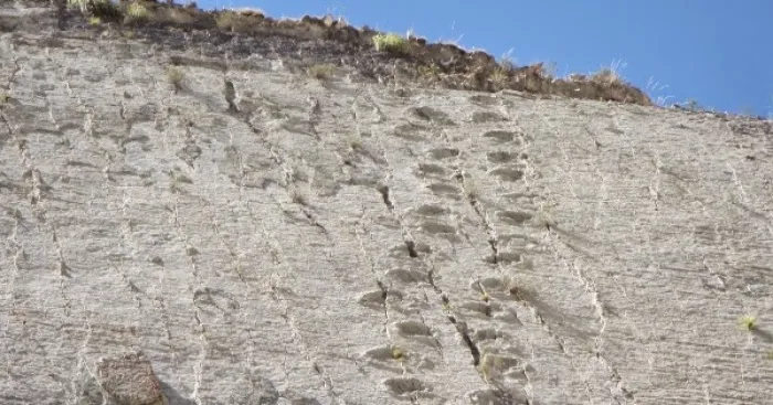This Wall In Bolivia Has Over 5000 Dinosaur Footprints