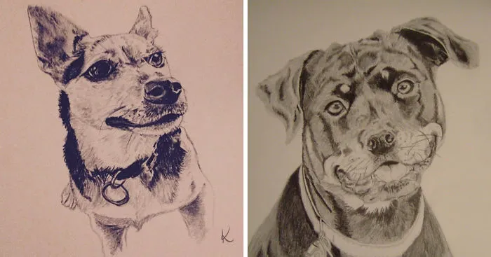 I Draw Realistic Pet Portraits