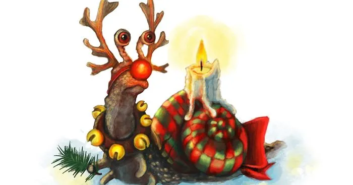 Snail Mail: I Illustrate Postcards With Snails To Pay Tribute To This Overlooked Little  Creature