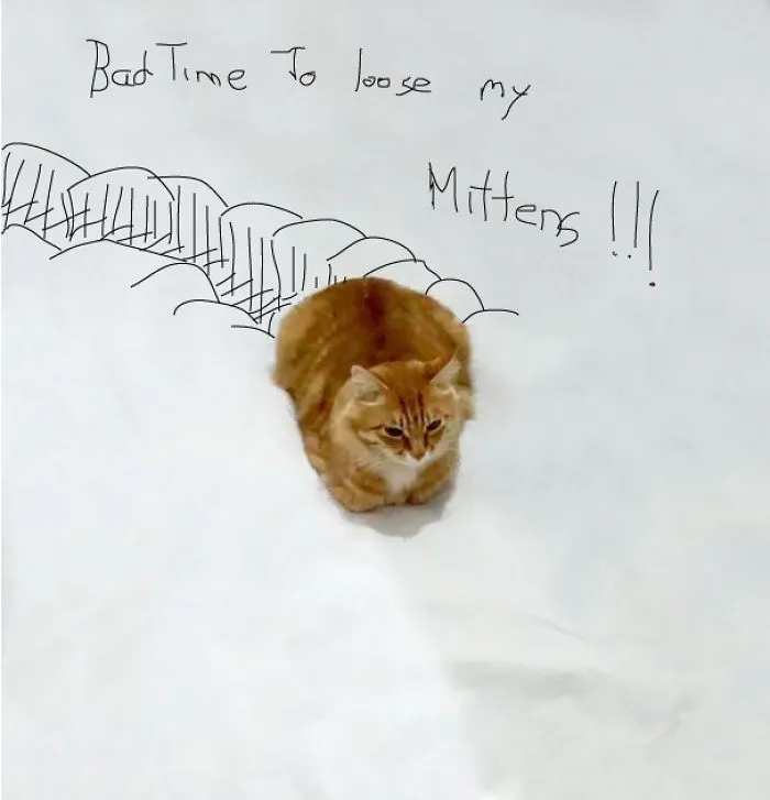 The Three Little Kittens, They Lost Their Mittens