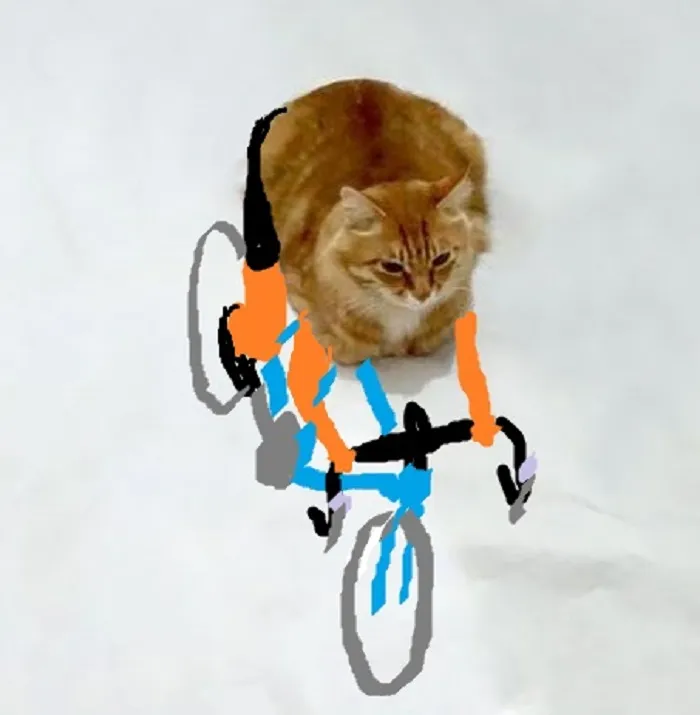 Cat 1 Climber