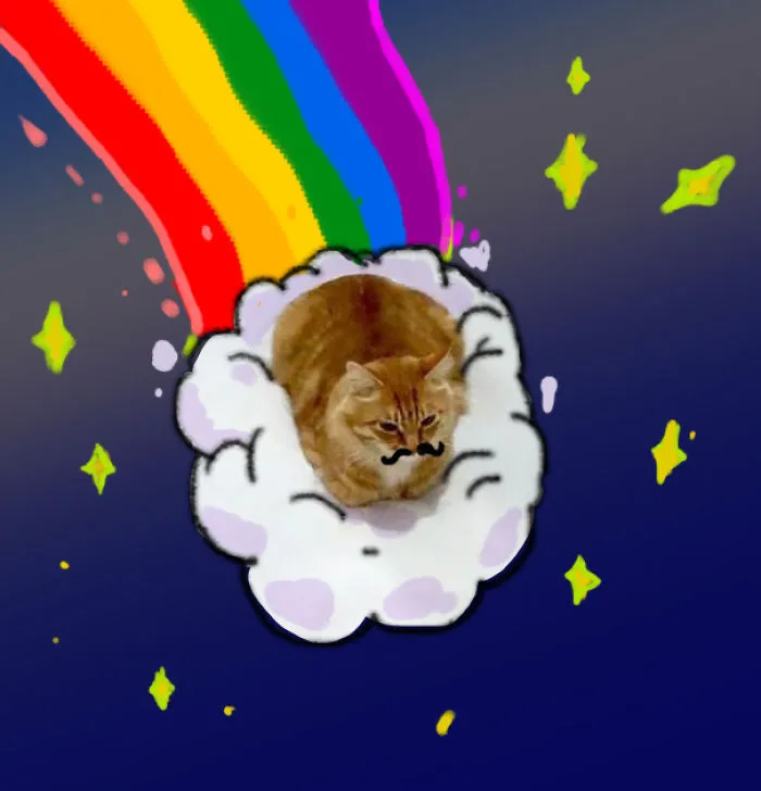 Cosmic Cat