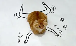 Challenge: Doodle This Cat Photo To Give Him New Adventures (261 Pics)
