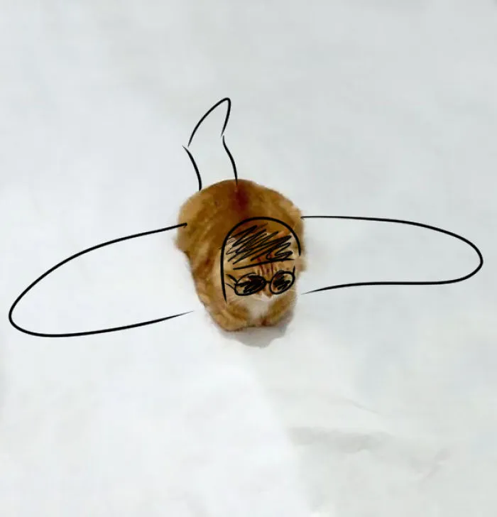 Its A Plane.