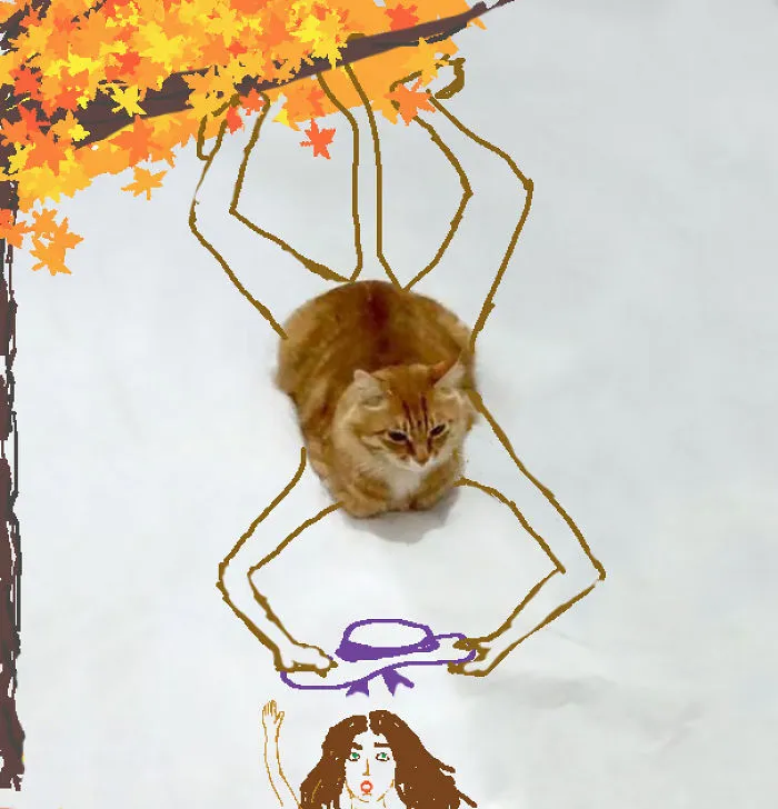 Monkeycat