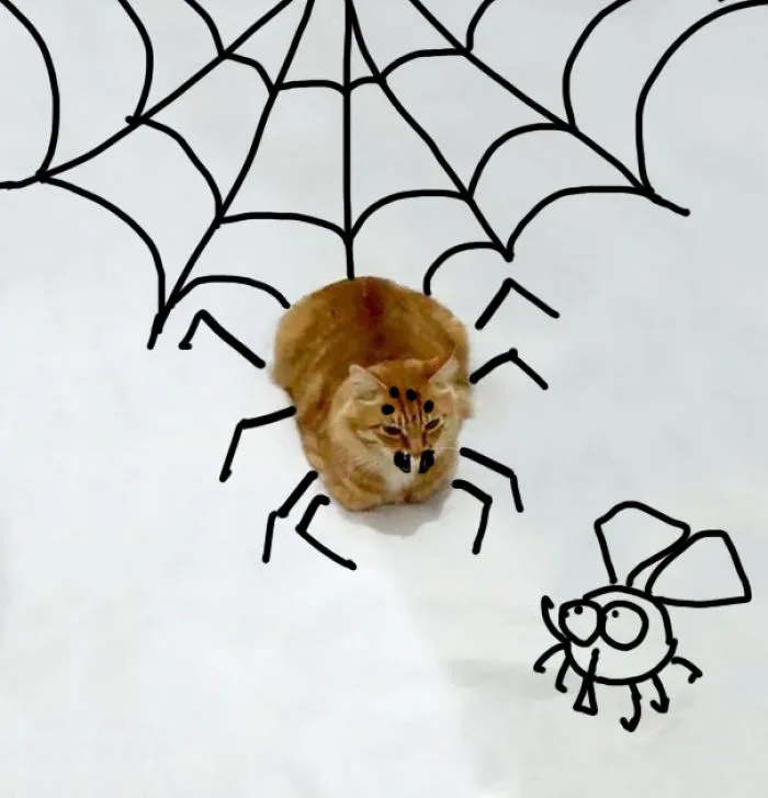 Spidercat