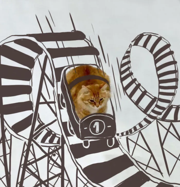 Roller Coaster