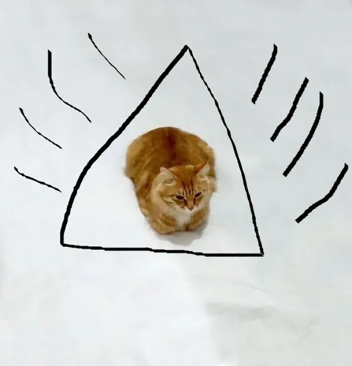 :d