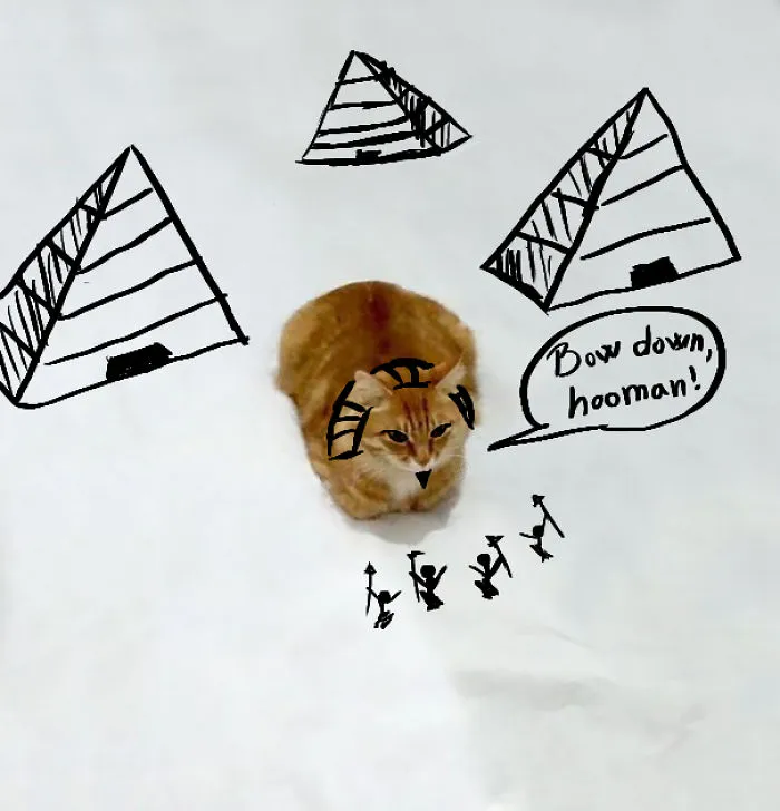 Sphinx Cat