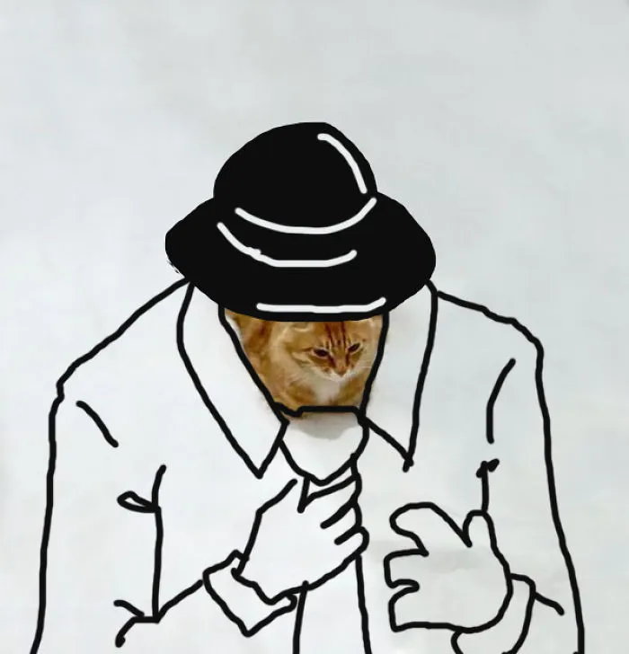 Mr Cat