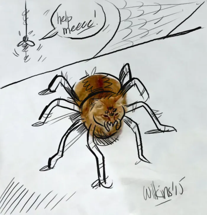 Arachno-kitty.