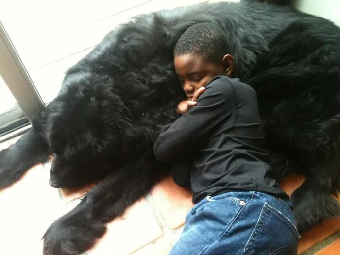 129 Heartwarming Photos Proving That Your Kids Need A Pet
