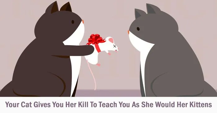 10 Quirky Human And Animal Gift-Giving Customs