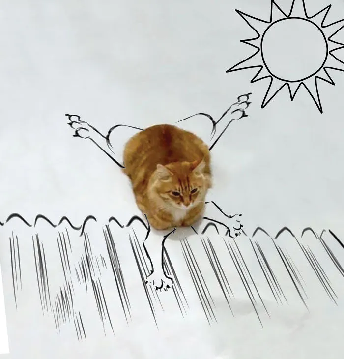 Cat On A Hot Tin Roof