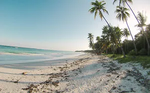 How's The Beach In Sulawesi, Indonesia?