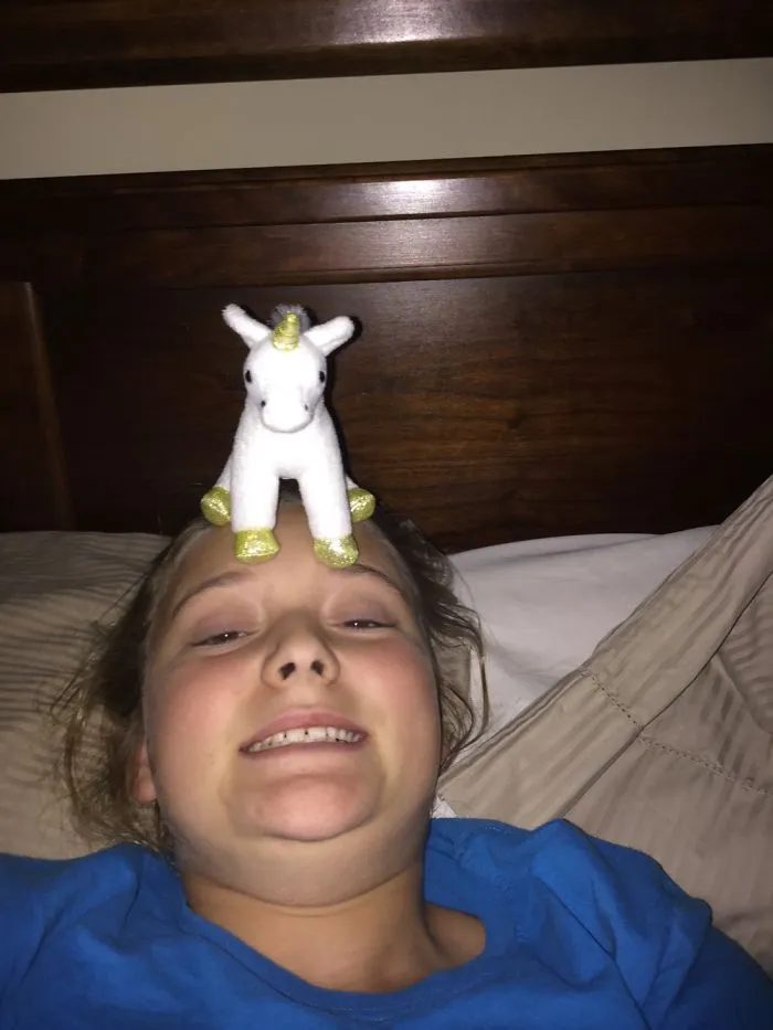 I Adopted A Unicorn